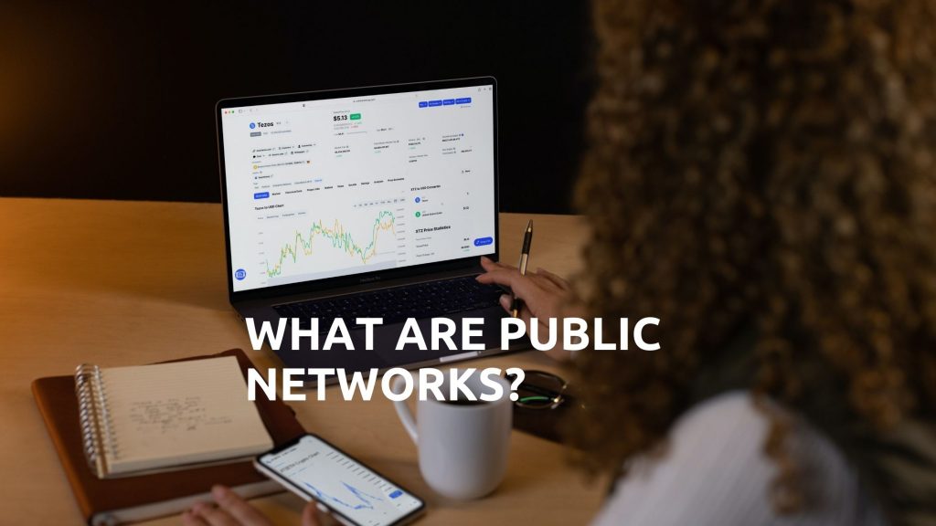 ¿Qué son las redes públicas?
